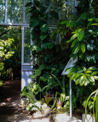 Similar image 22120186