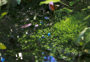 Similar image 22120187