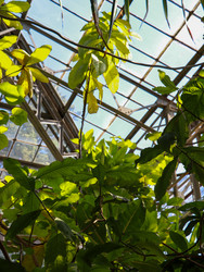 Similar image 22120188