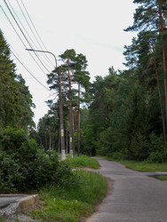 Similar image 22112753