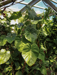 Similar image 22120189