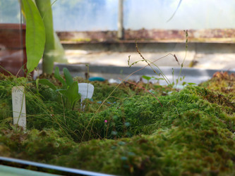 Similar image 22120190