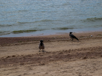 Similar image 22112755