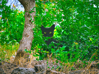 Similar image 22114550