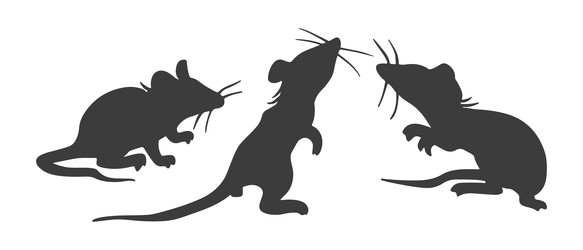 Similar image 22113535