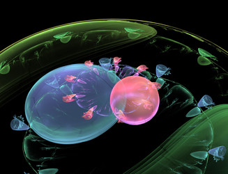 Similar image 22114430