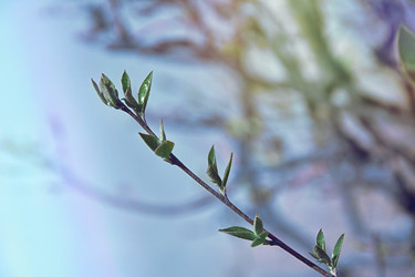 Similar image 22113536