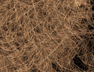 Similar image 22114458