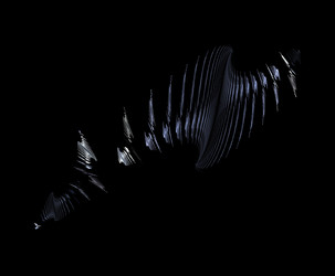 Similar image 22116856