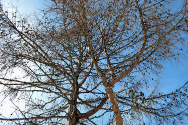 Similar image 22113245