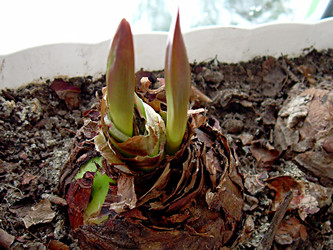 Similar image 22113251