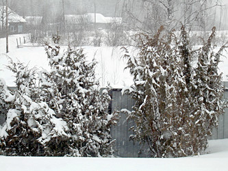 Similar image 22113253