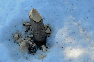 Similar image 22113257