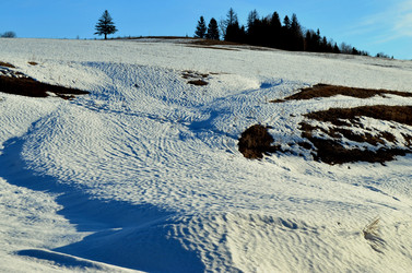 Similar image 22113259