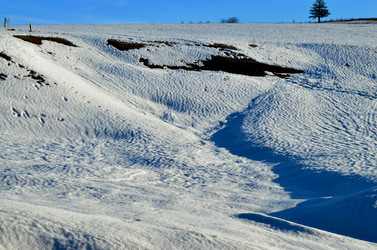 Similar image 22113260