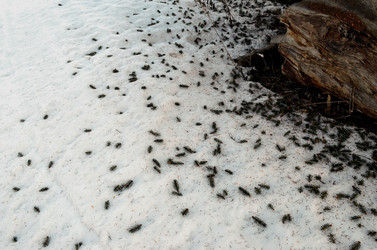 Similar image 22113261