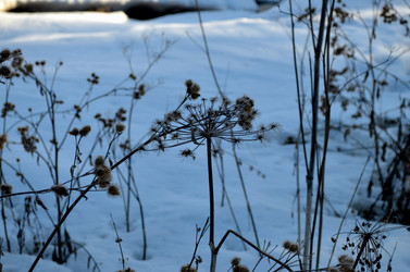 Similar image 22113262