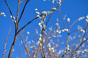 Similar image 22113263