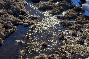 Similar image 22113264