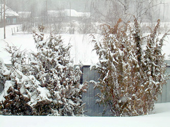 Similar image 22113266