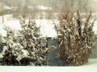 Similar image 22113267