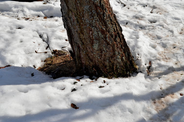 Similar image 22113268