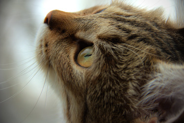 Similar image 22113228