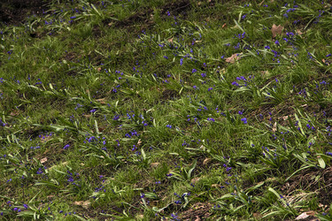 Similar image 22113231