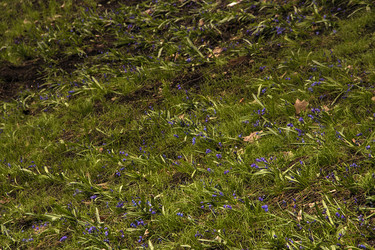 Similar image 22113232