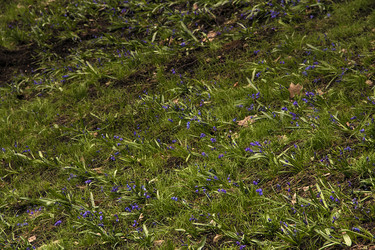 Similar image 22113233