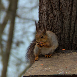 Similar image 22113234