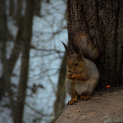 Similar image 22113235