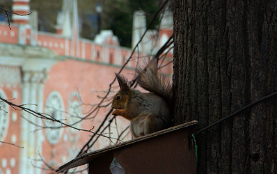 Similar image 22113236