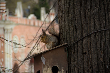 Similar image 22113237