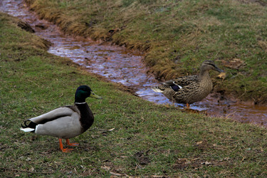 Similar image 22113241