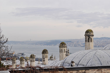 Similar image 22116696