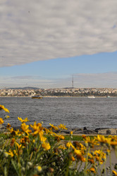 Similar image 22116704