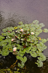 Similar image 22116710