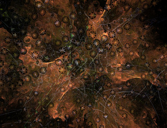 Similar image 22114475