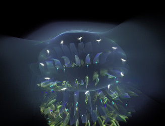 Similar image 22114738