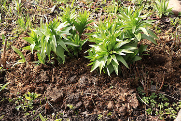 Similar image 22113299