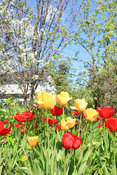 Similar image 22113301