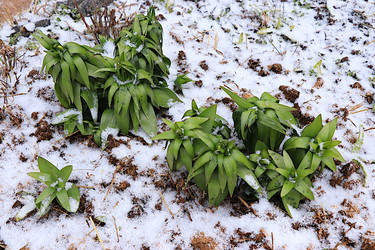 Similar image 22113302