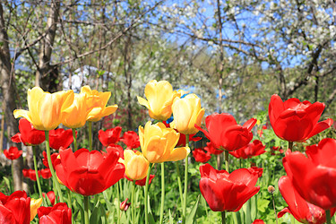 Similar image 22113303