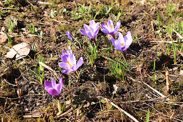 Similar image 22113306