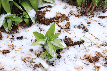 Similar image 22113307