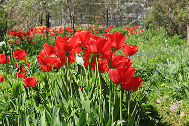 Similar image 22113308