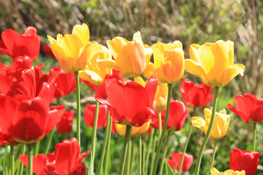 Similar image 22113309