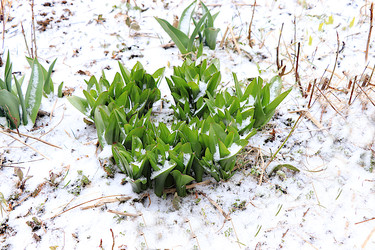 Similar image 22113310