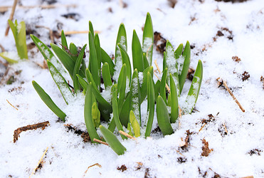 Similar image 22113311